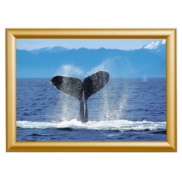 Showdown Displays Klapprahmen DIN A3 gold