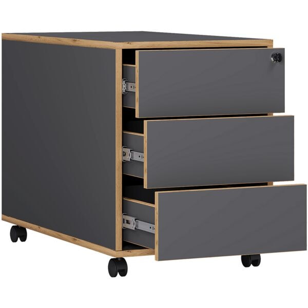 VCM Rollcontainer �Salia� 3 Sch�be extratief