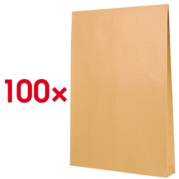 Mailmedia 100 Faltentaschen mit Steh-/Klotzboden E4 150 g/m� ohne Fenster