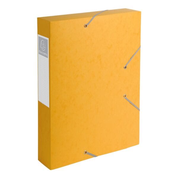 EXACOMPTA Archivbox Cartobox - 1 Stck