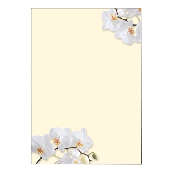 Sigel Motivpapier »White Orchid« DP904 Sigel Motivpapier »White Orchid« DP904