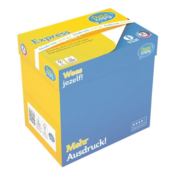 Grab&Go-Box Multifunktionales Druckerpapier A4 Data-Copy Everyday Printing - 2500 Blatt gesamt
