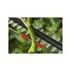 pointer cursor