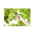 pointer cursor