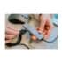 pointer cursor