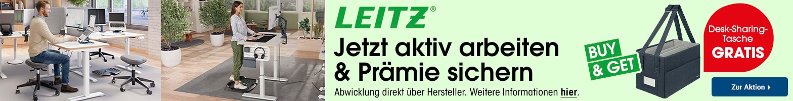 LEITZ Ergo active working