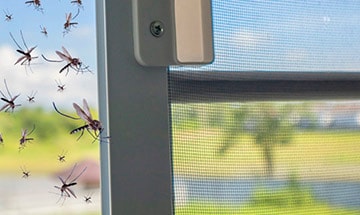 Schutz für offene Fenster Schutz für offene Fenster
