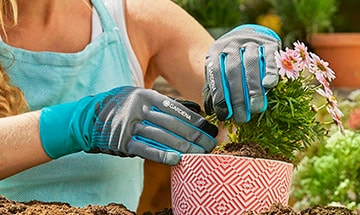 Handschuhe Handschuhe