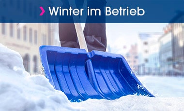 Immer das passende Licht